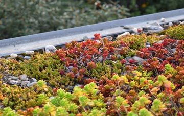 the cost of Cowfold green roof installation