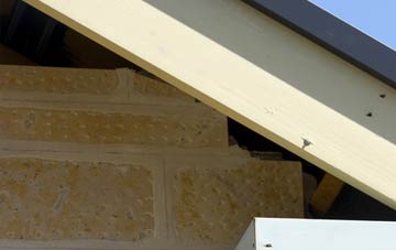 soffit repair Cowfold