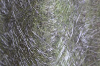 Cowfold fibreglass roof work